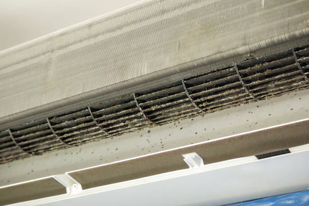Best Ventilation Cleaning Services  in St Marys, OH