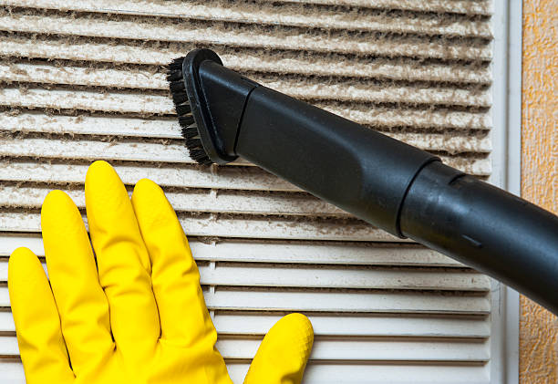 Best Professional Duct Cleaning Services  in St Marys, OH